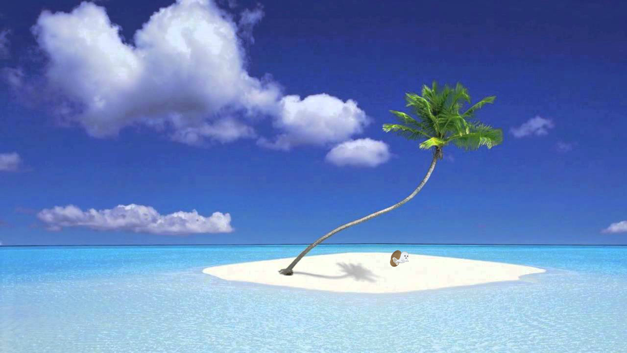 If You Were Stranded On a Desert Island, and You Could Only Have…