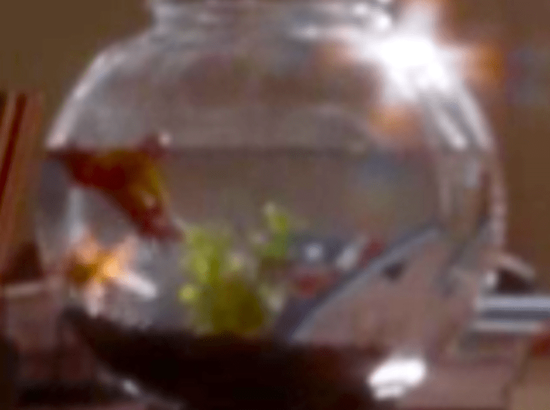 Screen Shot 2019-01-28 at 8.07.49 PM.png