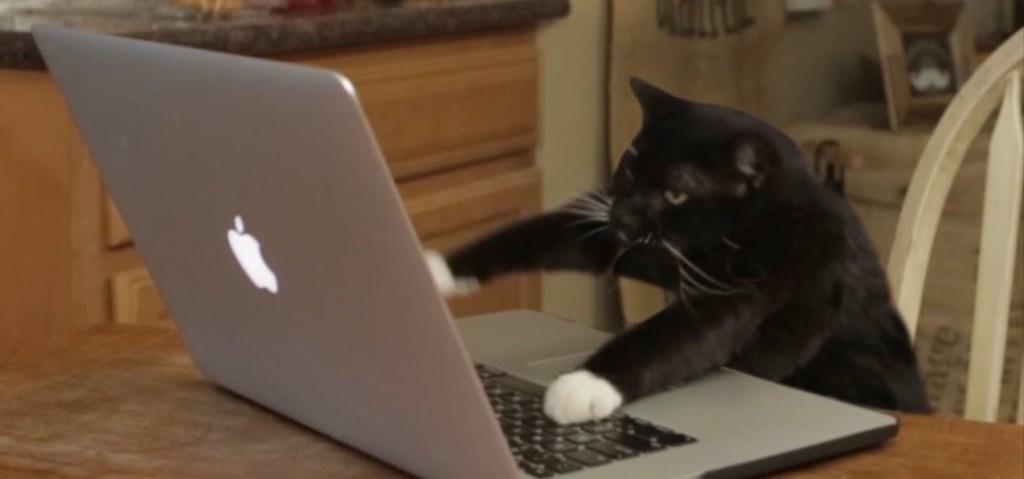 How to Complain Like a Pro