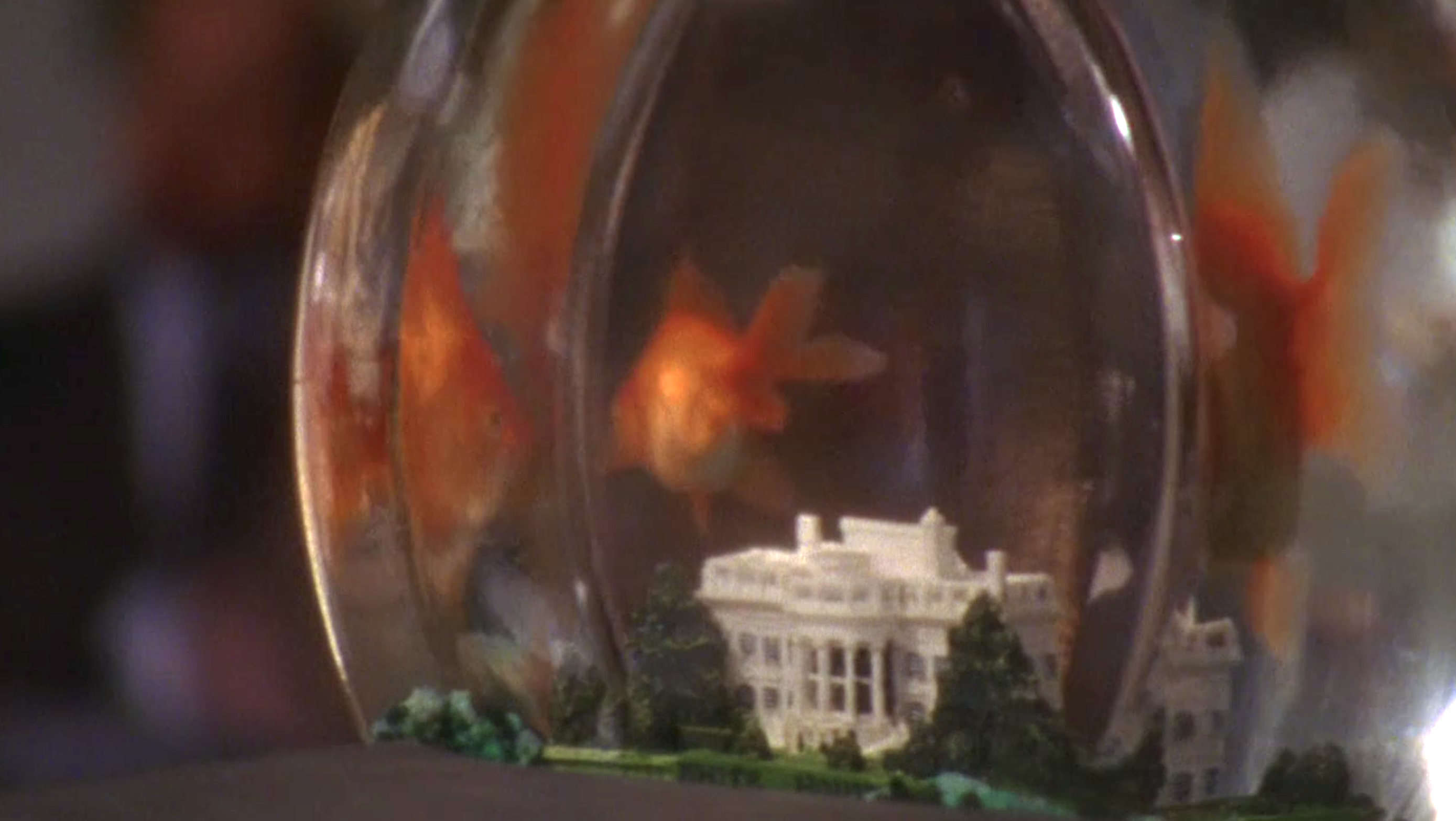 Screen Shot 2019-07-30 at 10.40.01 PM.png