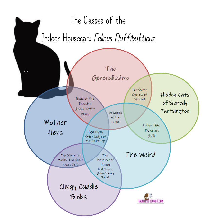 The Classes of the Indoor Housecat: Felinus Fluffibutticus